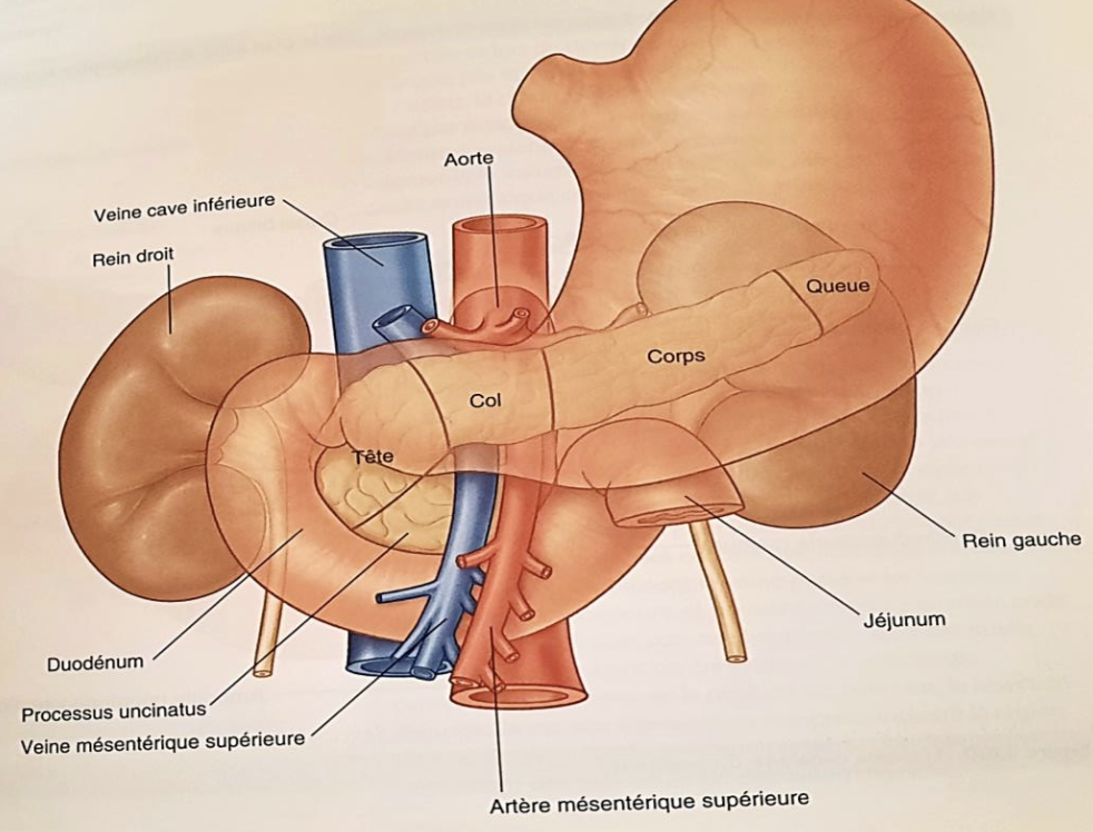 Description of image